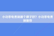 小功率电煮锅哪个牌子好？小功率电煮锅推荐