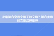 小胸适合穿哪个牌子的文胸？适合小胸的文胸品牌推荐