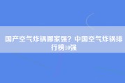 国产空气炸锅哪家强？中国空气炸锅排行榜10强