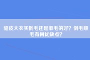 貂皮大衣买倒毛还是顺毛的好？倒毛顺毛有何优缺点？