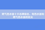 燃气热水器十大名牌排名，电热水器和燃气热水器的优劣