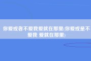 你爱或者不爱我爱就在那里(你爱或是不爱我 爱就在那里)
