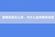 徽鹏莱茵怎么样，为什么选择整体家居