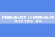 柳枝细长细长的像什么,柳枝细长细长的像什么比喻句二年级