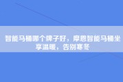 智能马桶哪个牌子好，摩恩智能马桶坐享温暖，告别寒冬