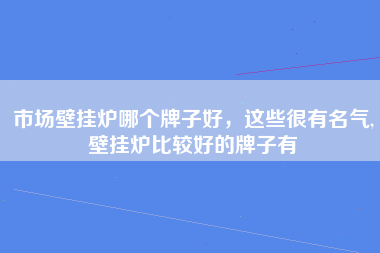 市场壁挂炉哪个牌子好，这些很有名气,壁挂炉比较好的牌子有