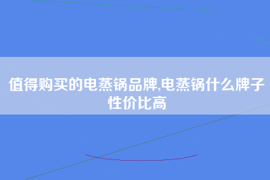 值得购买的电蒸锅品牌,电蒸锅什么牌子性价比高