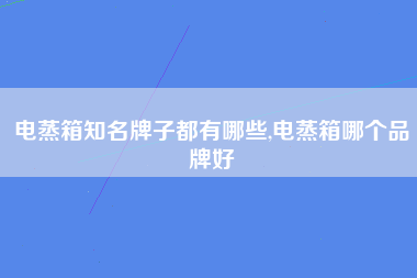 电蒸箱知名牌子都有哪些,电蒸箱哪个品牌好