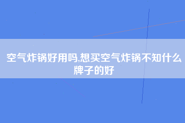 空气炸锅好用吗,想买空气炸锅不知什么牌子的好