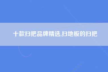 十款扫把品牌精选,扫地板的扫把