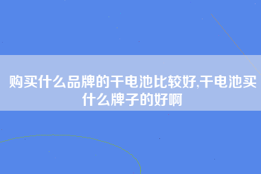 购买什么品牌的干电池比较好,干电池买什么牌子的好啊