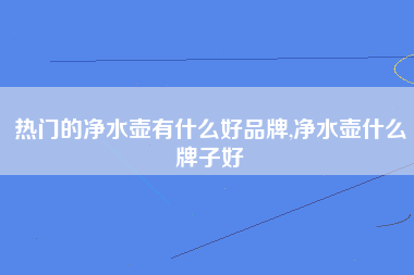 热门的净水壶有什么好品牌,净水壶什么牌子好