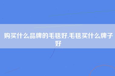 购买什么品牌的毛毯好,毛毯买什么牌子好