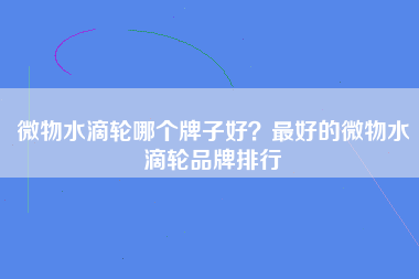 微物水滴轮哪个牌子好？最好的微物水滴轮品牌排行