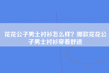 花花公子男士衬衫怎么样？哪款花花公子男士衬衫穿着舒适