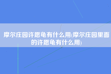 摩尔庄园许愿龟有什么用(摩尔庄园里面的许愿龟有什么用)