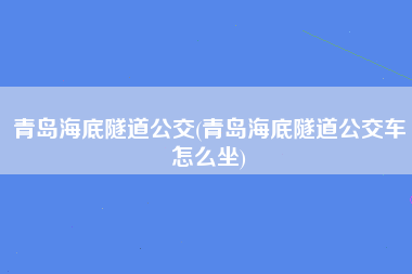 青岛海底隧道公交(青岛海底隧道公交车怎么坐)