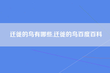 迁徙的鸟有哪些,迁徙的鸟百度百科