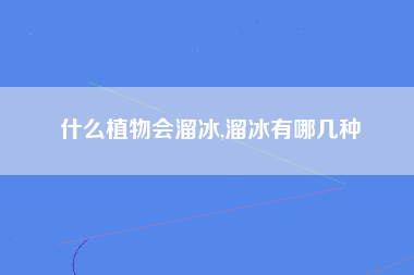 什么植物会溜冰,溜冰有哪几种