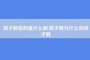 鸽子树指的是什么树,鸽子树为什么叫鸽子树