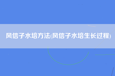 风信子水培方法(风信子水培生长过程)