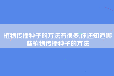 植物传播种子的方法有很多,你还知道哪些植物传播种子的方法