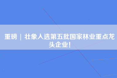 重磅 | 壮象入选第五批国家林业重点龙头企业！