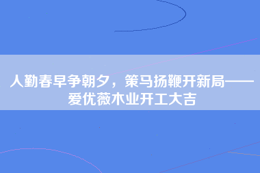 人勤春早争朝夕，策马扬鞭开新局——爱优薇木业开工大吉