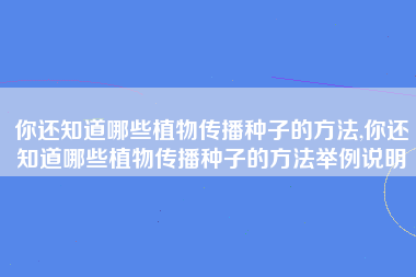 你还知道哪些植物传播种子的方法,你还知道哪些植物传播种子的方法举例说明