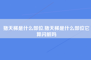 猪天梯是什么部位,猪天梯是什么部位它算闪脏吗