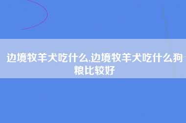 边境牧羊犬吃什么,边境牧羊犬吃什么狗粮比较好