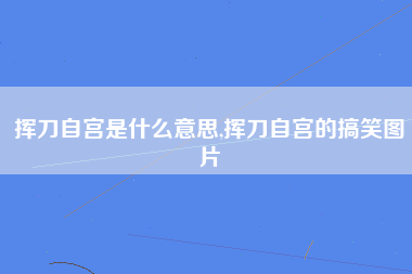 挥刀自宫是什么意思,挥刀自宫的搞笑图片