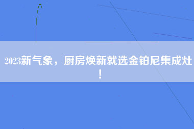 2023新气象，厨房焕新就选金铂尼集成灶！