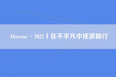 Aborone·2022丨在不平凡中逐浪前行