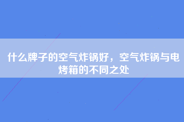 什么牌子的空气炸锅好，空气炸锅与电烤箱的不同之处