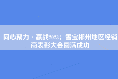 同心聚力·赢战2023；雪宝郴州地区经销商表彰大会圆满成功