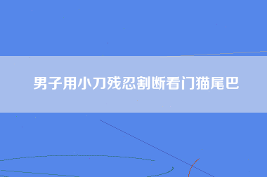 男子用小刀残忍割断看门猫尾巴